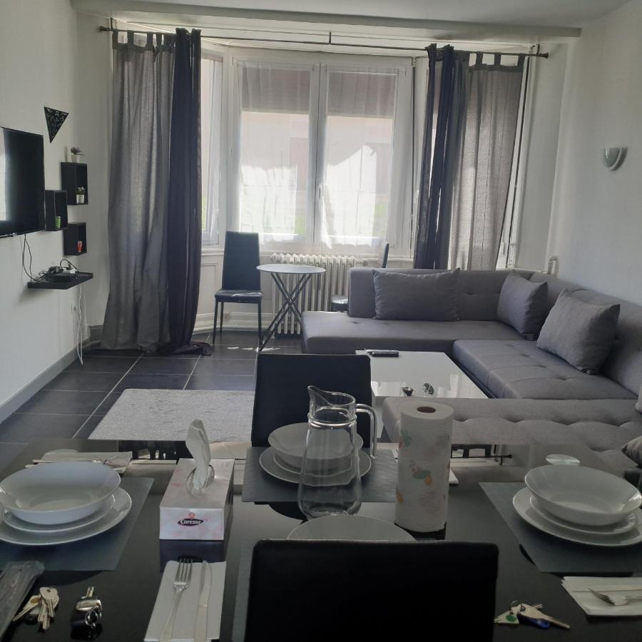 Appartement T2 Courte Duree Coup De Coeur Toute A 5 Minutes Saint-Etienne  Ngoại thất bức ảnh